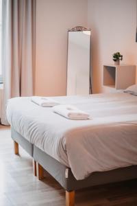 a bedroom with a large bed with a mirror at Central and Cozy in Brussels in Brussels +128 photos