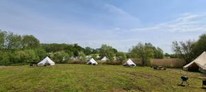 Personal Pitch Tent 6 Persons Glamping 2