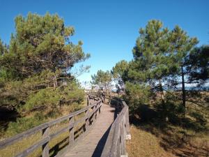 a wooden boardwalk on a hill with trees at Albergo Medusa in Punta Marina