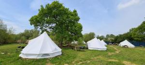 5 Meter Bell Tent - Up to 5 Persons Glamping 2