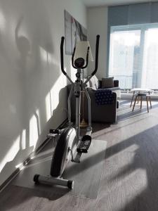 a living room with a gym with a exercise bike at Möwengruß an der Ostsee in Gelbensande