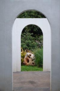 Giardino di The Memory Khaoyai