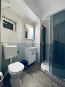a bathroom with a toilet and a sink and a shower at Casa Floraly in Braşov