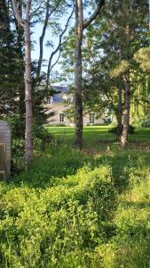 un campo de césped con árboles y una casa al fondo en malitourne, en Brissac-Quincé