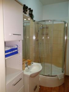 Koupelna v ubytování Apartmány Agáta Abertamy