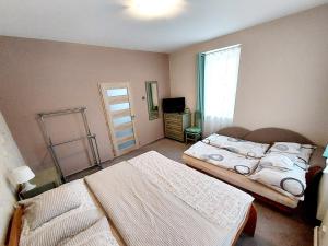 ein Schlafzimmer mit 2 Betten und einem TV in der Unterkunft Apartmány Agáta Abertamy in Abertamy