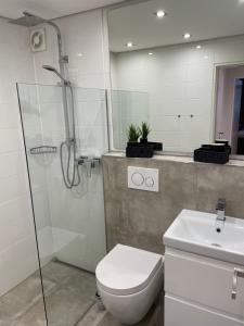 a bathroom with a shower and a toilet and a sink at Moderne Ferienwohnung / Top City- u. Wasserlage am Yachthafen Bad Zwischenahn in Bad Zwischenahn +17 photos