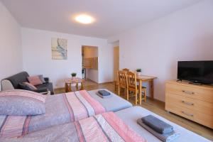 a bedroom with a bed and a television and a table at Apartamenty Częstochowa in Częstochowa