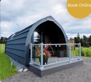 a small blue dome house with a potted plant in it at Robins Nest Glamping Pod with Hot Tub in Keith