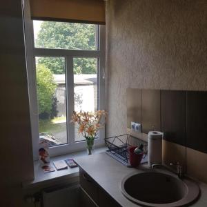 uma casa de banho com um lavatório e uma janela em Sonata em Liepāja