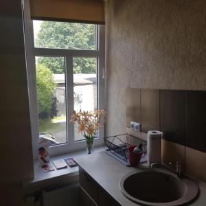 a bathroom with a sink and a window at Sonata in Liepāja