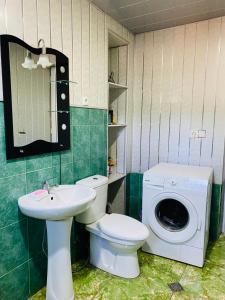 uma casa de banho com um lavatório e uma máquina de lavar roupa em Mamuka's Guesthouse em Udabno