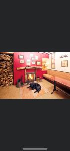 Fotografie z fotogalerie ubytování The Red Lion v destinaci Sedbergh