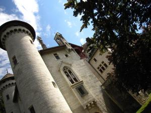 a large building with two towers and a tree at Castle with pool in Serri res en Chautagne in Serrières-en-Chautagne
