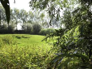 un campo de césped con árboles en el fondo en Comfortable flat overlooking orchards en Eede