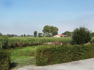 un campo con una valla y una casa en la distancia en Comfortable flat overlooking orchards en Eede