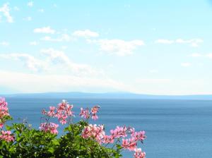 Gallery image of Guest House Lifestyle Holiday in Opatija