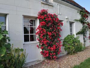een bos rode bloemen aan de zijkant van een huis bij Snug Holiday Home in Chambourg Sur Indre with Pool in Chambourg-sur-Indre