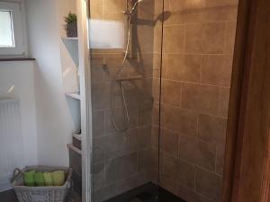 y baño con ducha y puerta de cristal. en Tastefully furnished holiday residence located in the heart of the Ardennes, en Houffalize
