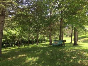 A garden outside Apartment in Marche with Pool Access