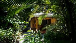 Zahrada ubytování Hotel El Pequeño Gecko Verde