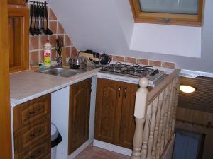 uma pequena cozinha com um lavatório e um fogão em Privát Sokolie em Terchová