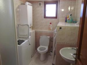 uma pequena casa de banho com WC e lavatório em Privát Sokolie em Terchová