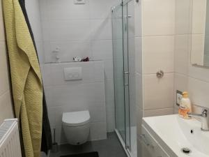 Ein Badezimmer in der Unterkunft Apartment in Halenfeld near Ski Slope