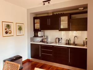 una cocina con armarios de color marrón oscuro y fregadero en Apartament Bornholm, en Jurata