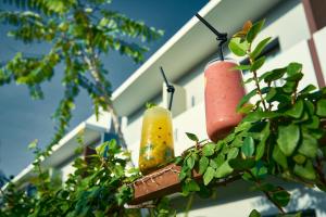 Fotografie z fotogalerie ubytování ONOMO Hotel Lomé v destinaci Lomé