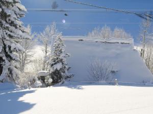 Το Holiday home with terrace in the Black Forest τον χειμώνα