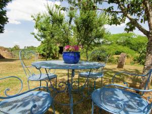 サン・シプリアンにあるComfy holiday home in Saint Cyprien with terraceの青いテーブルと椅子、花の鉢