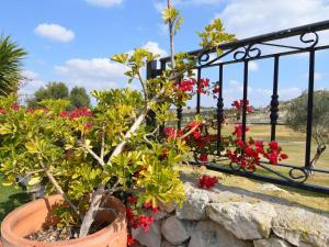 Vonkajšia záhrada v ubytovaní Villa in Costa Blanca with Private Pool