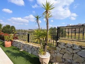 Vonkajšia záhrada v ubytovaní Villa in Costa Blanca with Private Pool