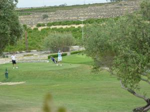 Golf pri vile alebo okolí