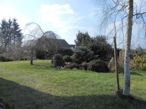 Ein Baum auf einem Feld mit einem Berg im Hintergrund in der Unterkunft Holiday home in Haserich with terrace in Haserich