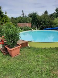 a large swimming pool in a yard with plants at Ferienwohnung am Schloss in Reuterstadt Stavenhagen