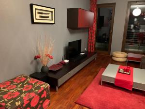 a living room with a television and a red rug at Apartament Hong Kong in Jurata
