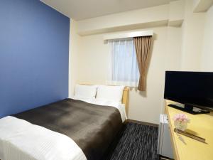 TV a/nebo společenská místnost v ubytování Nagoya Sakae Green Hotel