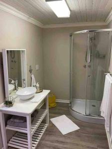 a bathroom with a sink and a shower at Grace Gardens - Grace in Pretoria