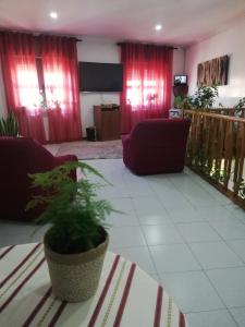 a living room with red curtains and a potted plant at Hotel Termas in Chaves