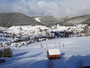 Ferienhaus Seefried im Winter