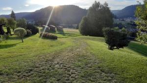 Naturlandschaft in der Nähe der Ferienwohnung
