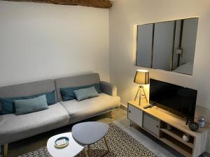 sala de estar con sofá y TV de pantalla plana en Joli appartement quartier historique en Moulins