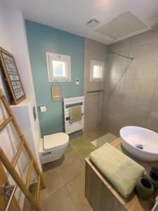 uma casa de banho com um WC, um lavatório e um chuveiro em Maison Angers La Madeleine Rooftop em Angers