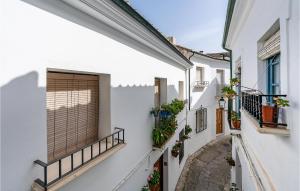 Une allée avec des bâtiments blancs et des plantes en pot dans l'établissement Nice Apartment In Priego De Cordoba With Wifi, à Priego de Córdoba