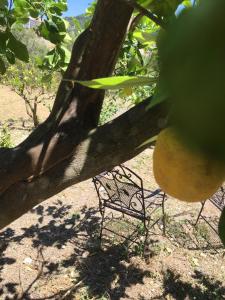 Zdjęcie z galerii obiektu Wunderschöne ruhige Finca mit Pool in Galilea w mieście Galilea