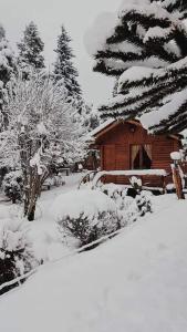 un patio cubierto de nieve con un banco y una cabaña en CABAÑAS MANOLO en San Carlos de Bariloche