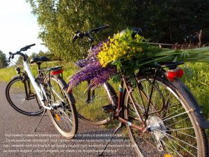 a bicycle with flowers on the side of a road at Jałówka - odpocznij na Podlasiu in Jałówka