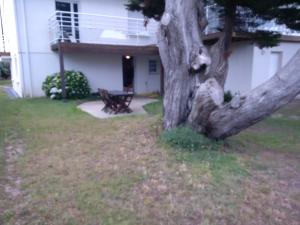 een boom in het gras voor een huis bij Appart 53 m2 en Rdc maison, jardin, à 50 m plage in La Turballe